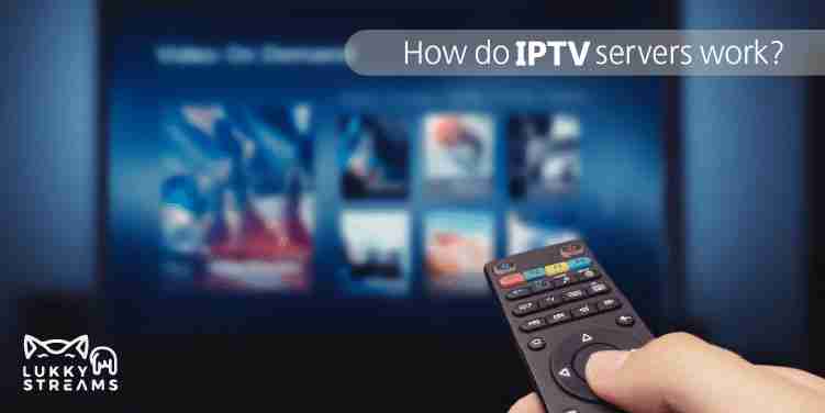 اشتراك أيبي تيفي